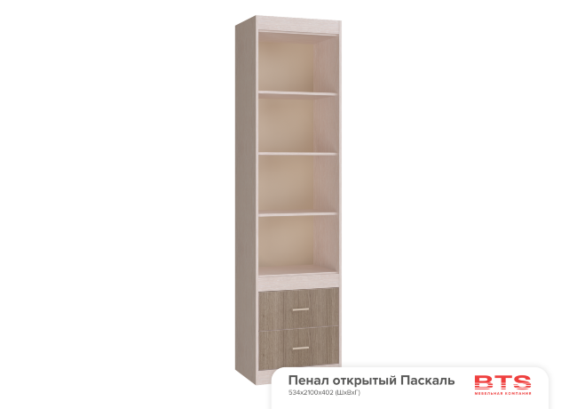 Детская "Паскаль" шкаф открытый (534х2100х402) БТС)